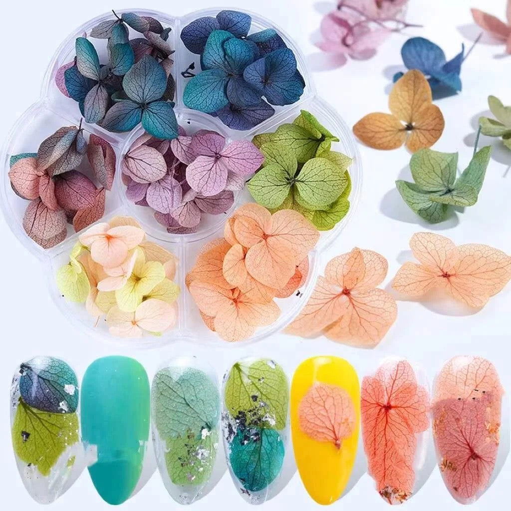 3D Dried Flowers - LB BEAUTY