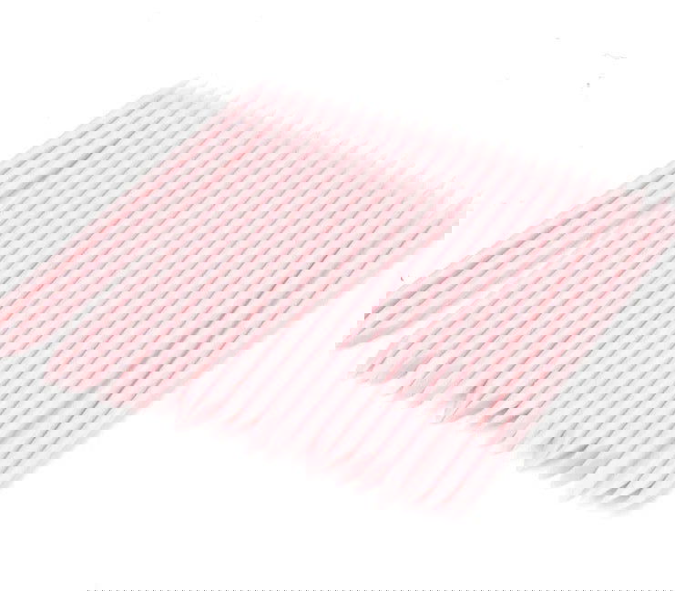 Pink Plastic Sticks - LB BEAUTY